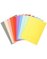 Lot de 100 Chemises pour dossiers - Assortiment EXACOMPTA Forever 170 Visuel