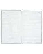 LE DAUPHIN : Registre VS 300 pages quadrillées avec foliotage - 297 x 210 mm