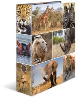 Classeur à 2 anneaux - Tendance métropole - Berlin : HERMA image