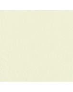 Serviettes de table Cocktail - 240 x 240 mm - Creme PAP STAR Lot de 250 image