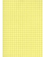Fiches Bristol - 125 x 200 mm - Jaune quadrillé ELVE B12513J jaune
