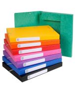 EXACOMPTA : Lot de 25 boîtes de classement 18500H - Dos 25 mm - Assortiment
