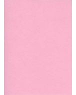 Fiches Bristol Unies A3 - 297 x 420 mm - Rose : ELVE Lot de 100 Visuel