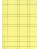 Lot de 100 Fiches Bristol A6 - 105 x 148 mm - Jaune quadrillé ELVE B10513J Fournitures jaune
