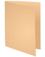 Lot de 100 Chemises - 320 x 240 mm - Bulle EXACOMPTA Forever 180 modèle