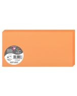 Photo POLLEN : Carte double de papier - Format DL - Clémentine 12536C