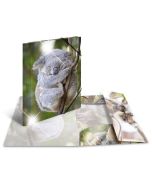 Photo Chemise à élastique A4 - Motif Koala HERMA image