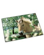 Photo Sous-mains de bureau - 530 x 400 mm - Cheval à la clôture LAUFER 46640