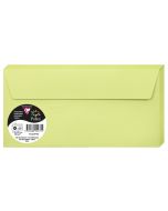 Photo Enveloppe POLLEN Vert bourgeon Format 110 x 220 mm 55475C