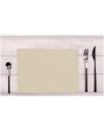 Lot de 100 Sets de Table non tissés - Ficelle COGIR Image