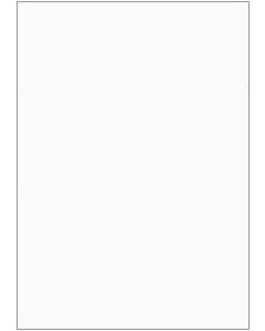 ELVE B105 : Lot de 100 fiches bristol A6 - 105 x 148 mm - Blanc uni