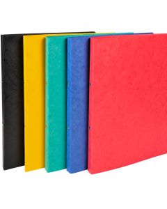 54250E Classeur Exacompta 2 Anneaux Assortiment Carte lustrée