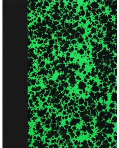 ELVE 61302 : Registre - 200 pages quadrillées sans foliotage - 297 x 210 mm