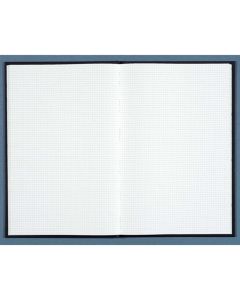 Registre - 400 pages quadrillées - 390 x 255 mm - LE DAUPHIN  image
