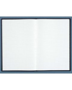 Registre - 600 pages quadrillées - 390 x 255 mm - LE DAUPHIN  image