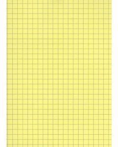 Fiches Bristol A5 - 148 x 210 mm - Jaune quadrillé ELVE B14813J jaune