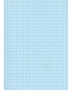 Fiches Bristol - 75 x 125 mm - Bleu quadrillé ELVE B7513B bleu
