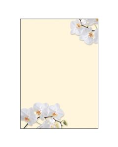 SIGEL DP904 : Lot de 50 feuilles de papier - Orchidée blanche