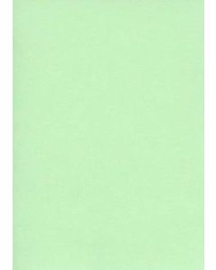 Fiches Bristol Unies - 75 x 125 mm - Vert : ELVE Lot de 100 Visuel