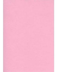 Fiches Bristol Unies A4 - 297 x 210 mm - Rose : ELVE Lot de 100 Photo