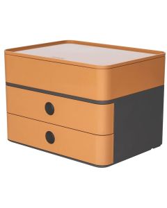 Photo Module de rangement - 260 x 195 x 190 mm - Caramel HAN Smart Box Plus Allisson
