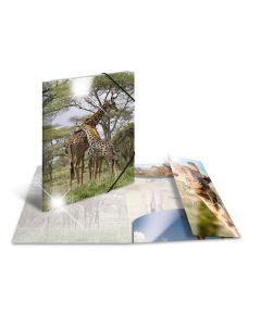 Photo Chemise à élastique A3 - Motif Girafe HERMA image