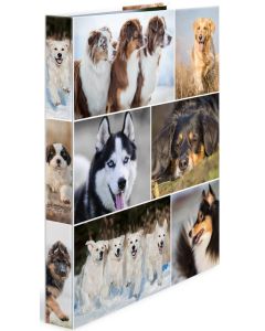 Classeur à 4 anneaux - Dos de 35 mm - Chiens HERMA Image