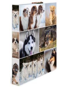 Classeur à 2 anneaux - Dos de 35 mm - Chiens HERMA