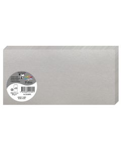 Photo POLLEN : Carte double de papier - Format DL - Argent 22589C