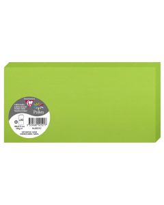 Photo POLLEN : Carte double de papier - Format DL - Vert menthe 2521C