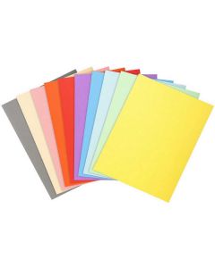 Photo Chemises A4 pour dossiers - Assortiment EXACOMPTA Forever 170