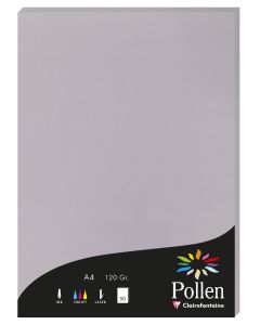 Photo Feuille de couleur Gris koala 210 x 297 mm A4 POLLEN 4232C