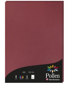 Photo Feuille de couleur Bordeaux 210 x 297 mm A4 POLLEN 4293C