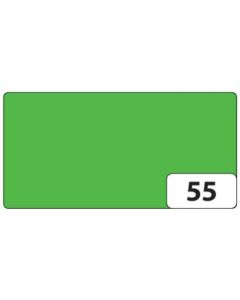 Photo Feuilles de papier de couleur - 500 x 700 mm - Vert herbe FOLIA Image