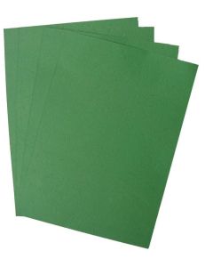 Photo Plat de couverture pour reliure A4 - Carton Grain Cuir - Vert Forêt mat PAVO (8011186)