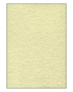 SIGEL DP605 : Lot de 100 feuilles Perga - Format A4 - Champagne