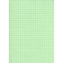 ELVE : Lot de 100 fiches bristol A4 - 297 x 210 mm  B29713V- Vert quadrillé (Fournitures)