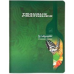 CALLIGRAPHE : Cahier de travaux pratiques - 96 pages - 170 x 220 mm 2592C Vert