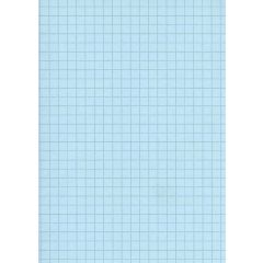 Fiches Bristol - 125 x 200 mm - Bleu quadrillé ELVE B12513B modèle