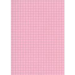 ELVE B12513R : Lot de 100 fiches bristol - 125  x 200 mm - Rose quadrillé 
