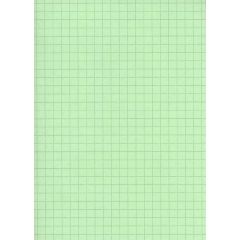 Fiches Bristol - 125 x 200 mm - Vert quadrillé ELVE B12513V 