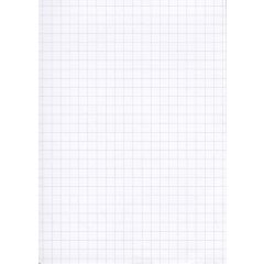Fiches Bristol A5 - 148 x 210 mm - Blanc quadrillé ELVE B14813 blanc