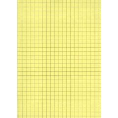 Fiches Bristol A5 - 148 x 210 mm - Jaune quadrillé ELVE B14813J jaune