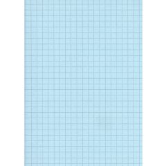 Fiches Bristol - 75 x 125 mm - Bleu quadrillé ELVE B7513B bleu