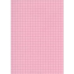 Fiches Bristol - 75 x 125 mm - Rose quadrillé ELVE B7513R rose