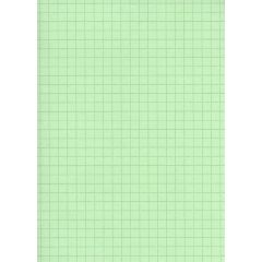 Fiches Bristol - 75 x 125 mm - Vert quadrillé ELVE B7513V vert