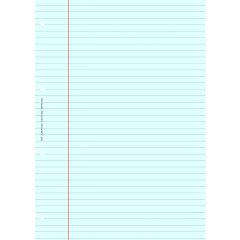 BLOC DE REVISION COMPTABLE :  Feuille Lignée A4 Bleu ELVE 2622