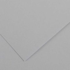 Feuilles de couleur 500 x 650 mm - Gris Clair - CANSON Vivaldi