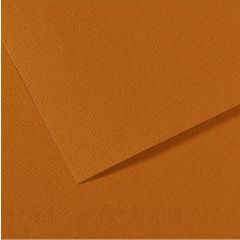 Feuille de papier dessin Mi-teintes - Marron clair - 500 x 650 mm : CANSON 321184 Image