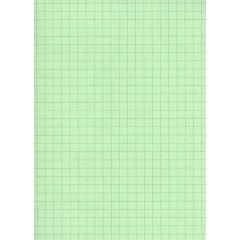 Fiches Bristol A6 - 105 x 148 mm Vert quadrillé ELVE B10513V Lot de 100 
